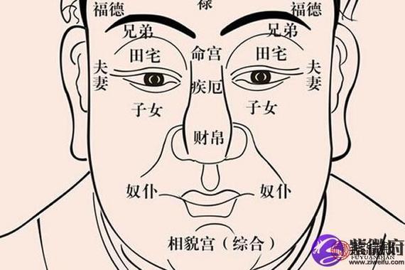 面相经验断性格