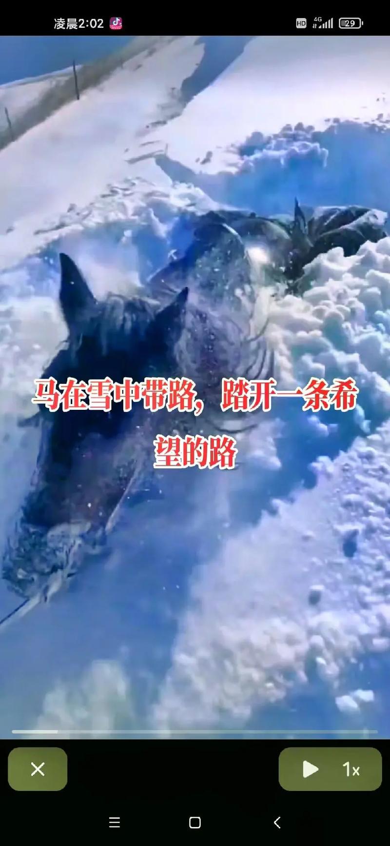 梦见雪灾来袭与大家一起逃难什么意思