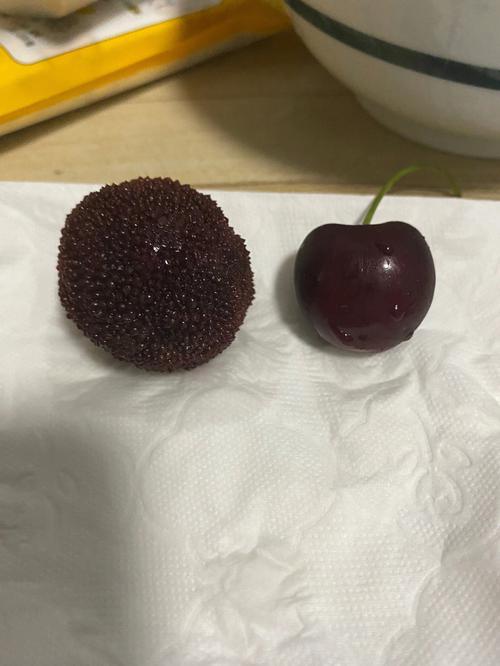 梦见杨梅和樱桃