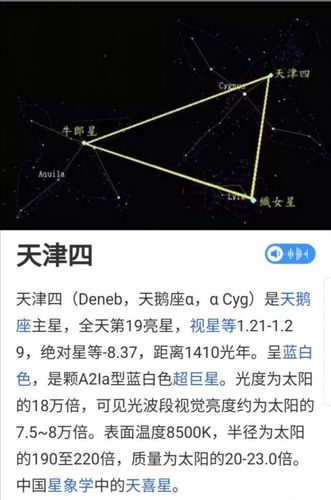 天津四的星座图案形状