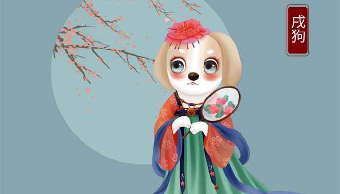 属兔男人最喜欢什么样的女人