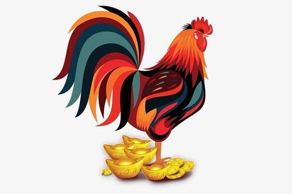 属鸡人适合做什么行业