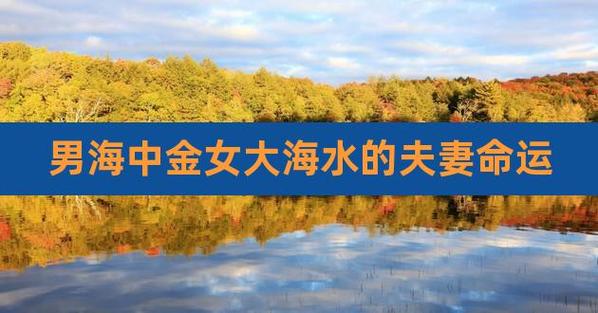 海中金和谁在一起最相配?