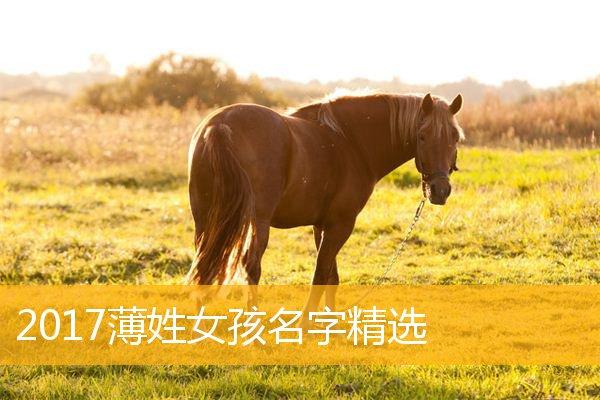 姓薄女孩名字优雅大气的有哪些