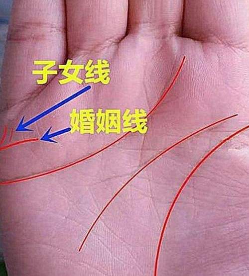 算算我命里有几个儿女
