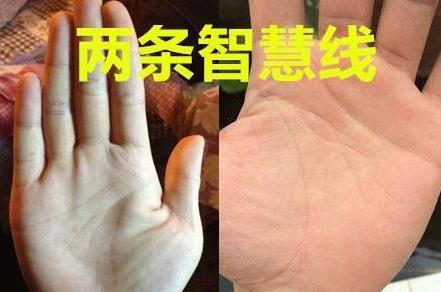 智慧线浅的人头脑不聪明是真的吗