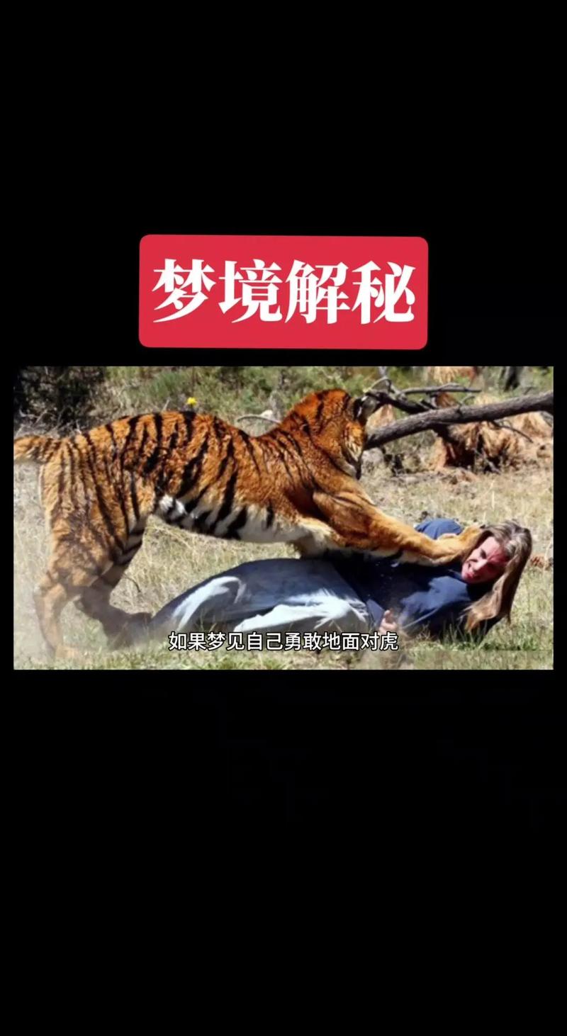 梦见深沟、深洞 周公解梦之梦到深沟、深洞