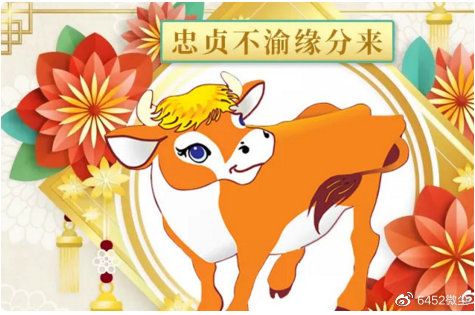 这些生肖2017年命中的桃花降落