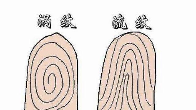 十个簸箕一生穷困是真的吗