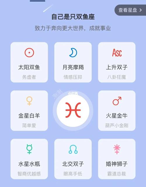 分析星座的app