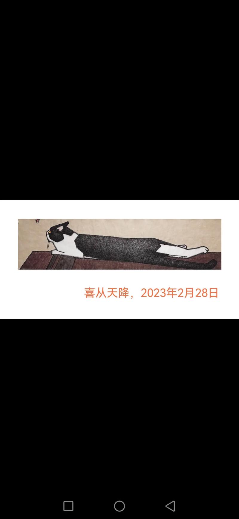 接下来2月份喜从天降