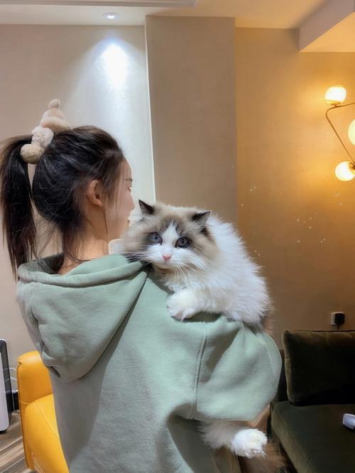 梦见猫在鱼缸旁
