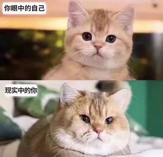 你想知道你现在的现实程度吗?