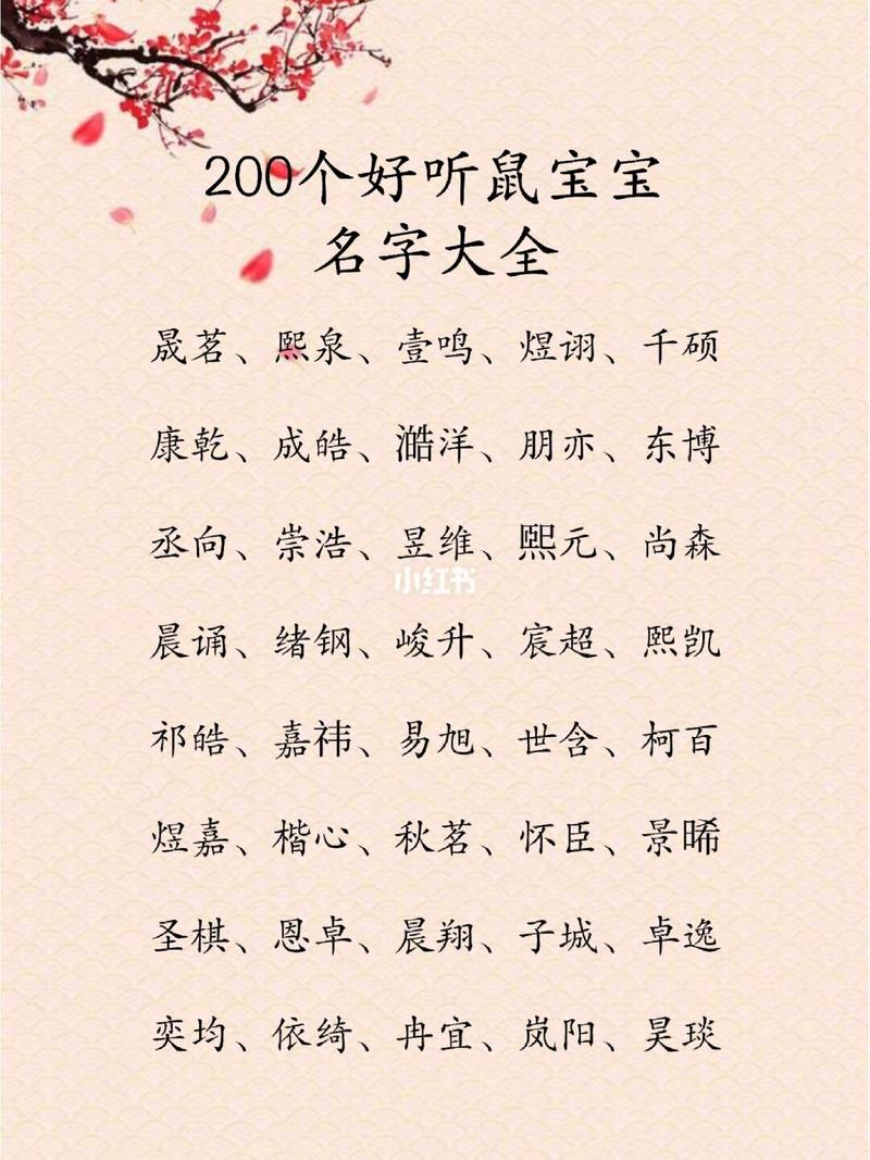 鼠宝宝姓冉女孩名字好听大全