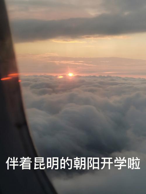 属狗开学第一天心情怎么样