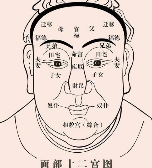 面相上的三大财库指的是什么