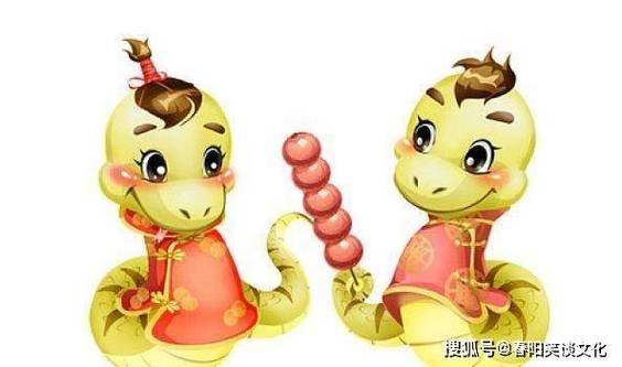 属蛇的人钱都花在了什么地方
