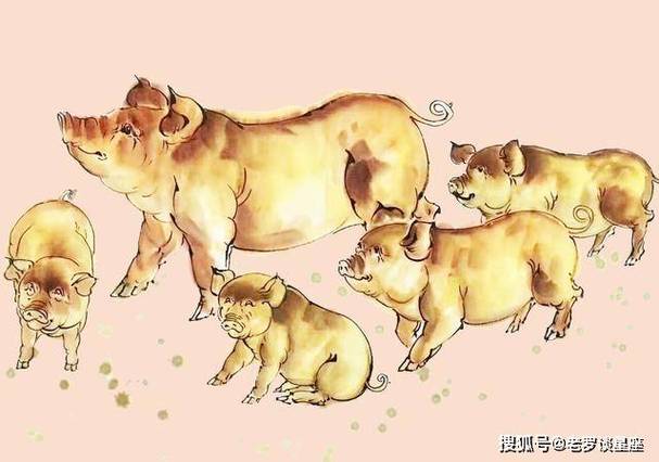 适合属鼠人的瘦身美容按摩法