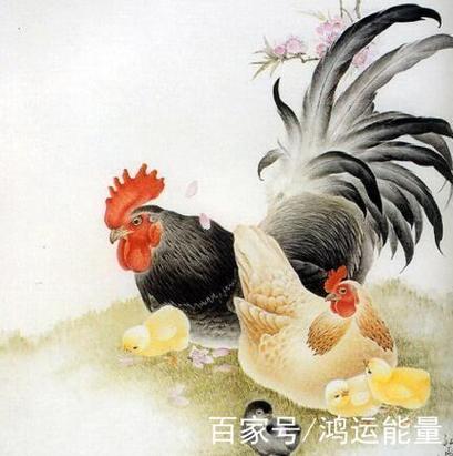 属鸡人的运势 2021年农历十一月属鸡财运如何