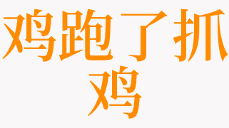 梦见鸡跑了