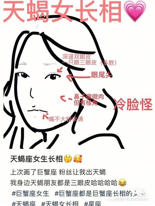 上升天蝎长相