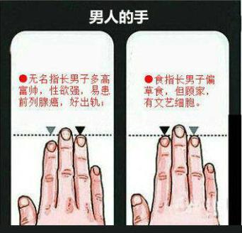 手相手指长短图解大全