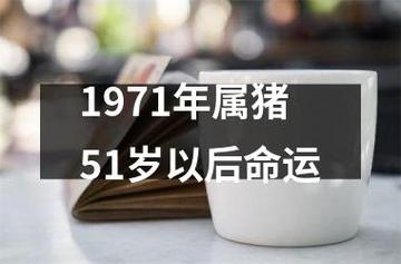1971年属猪的人2020年多大了