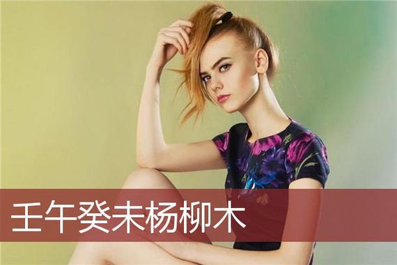 杨柳木命的人相貌如何