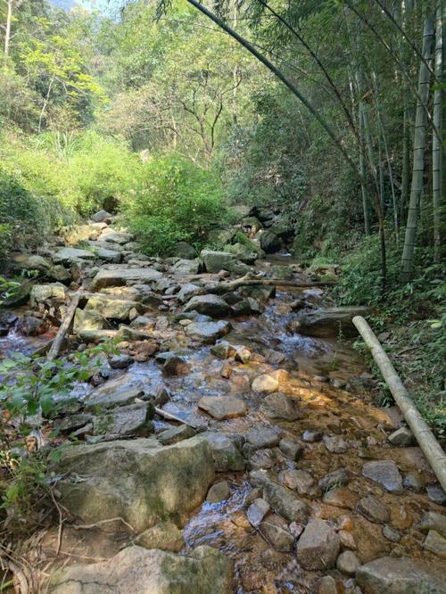 梦见爬山看到很多水