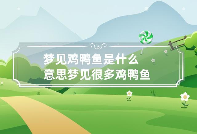 梦见鸡鸭鱼是何意