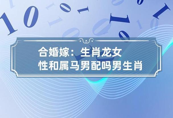 属马的人婚姻状况分析