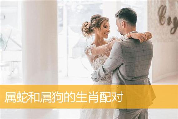 属狗和属蛇的婚配如何