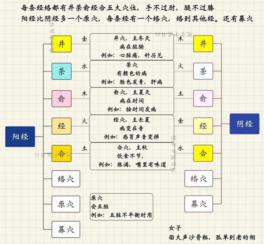 肺经的作用 肺经的作用和功能图片