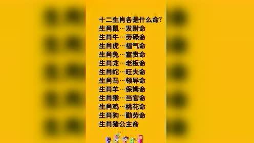 十二生肖未来几年运势变化提前看