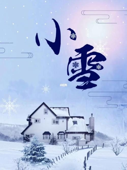 虎年小雪节气男孩子名字大全