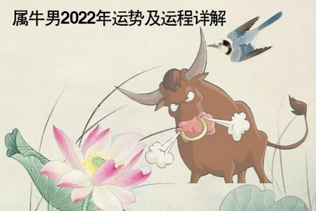 2022年生肖牛男的全年运势