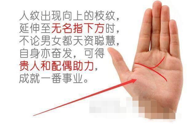 天资聪明 有状元之才的手相解析