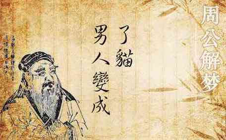 梦见一个男人变成猫