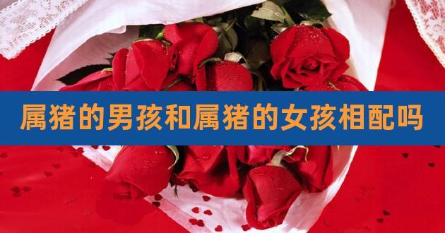 属猪男和属猪女的相配吗