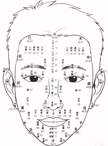 面相流年图分析