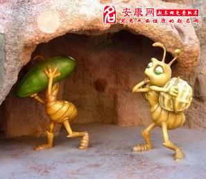 梦见蚂蚁窝预示什么