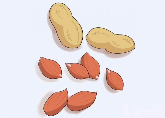 梦见吃花生什么意思