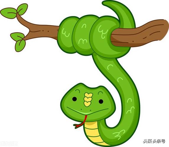 能力超群,总是遭人眼红的生肖
