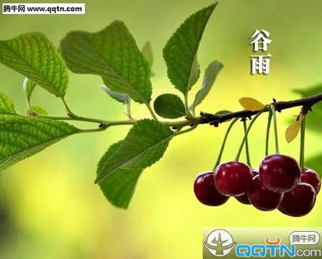 谷雨出生的宝宝好吗?性格怎么样?