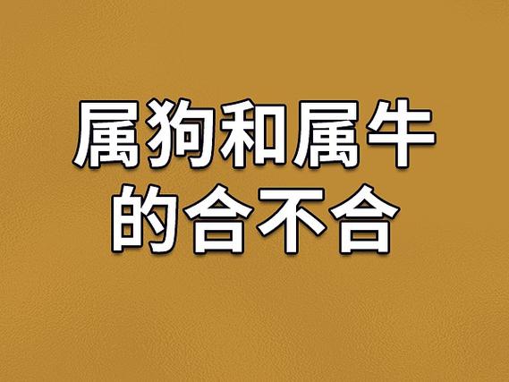 生肖狗和生肖牛是否相冲