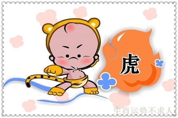 生肖虎为了爱情会做什么傻事