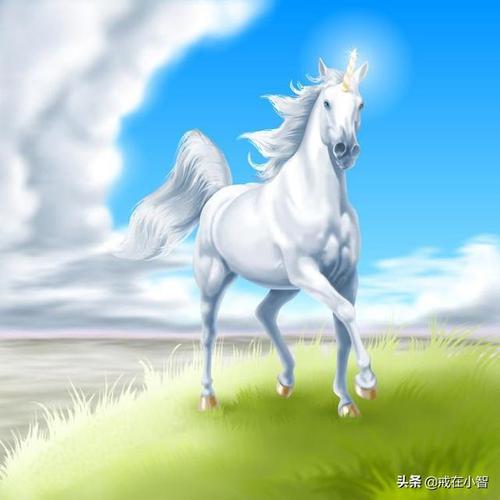 马年出生的人缺点有哪些