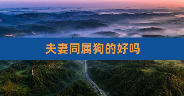 属狗夫妻不能到老的征兆