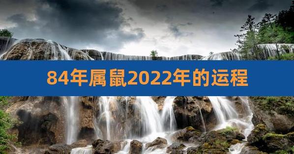 84年属鼠2021年运势及运程