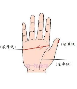 感智分叉假断掌的女人婚姻如何